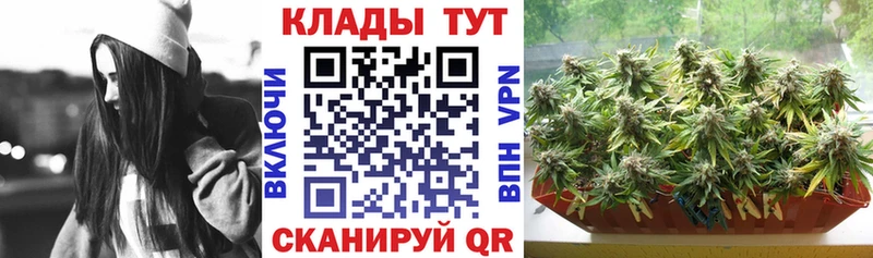 Виды наркотиков купить Курчалой МАРИХУАНА  Амфетамин  Cocaine  ГАШИШ  Меф  A-PVP 