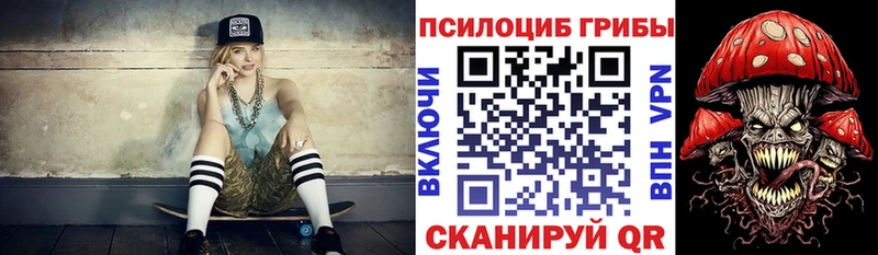 Псилоцибиновые грибы Cubensis  Курчалой 