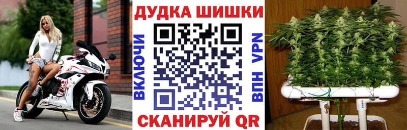 Бошки Шишки Amnesia Курчалой